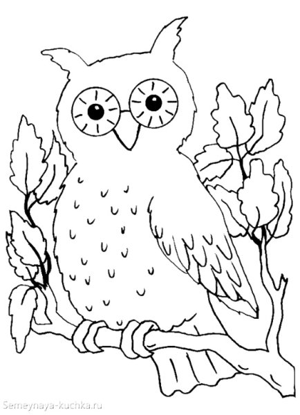 Сова трафарет