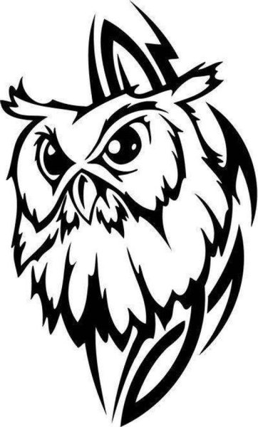 Филин раскраска для детей