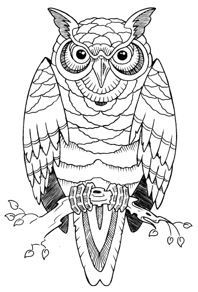 Контур Совы для раскрашивания