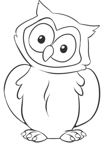 Филин контур