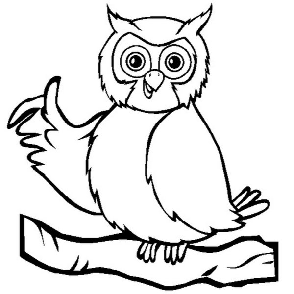 Сова раскраска для детей