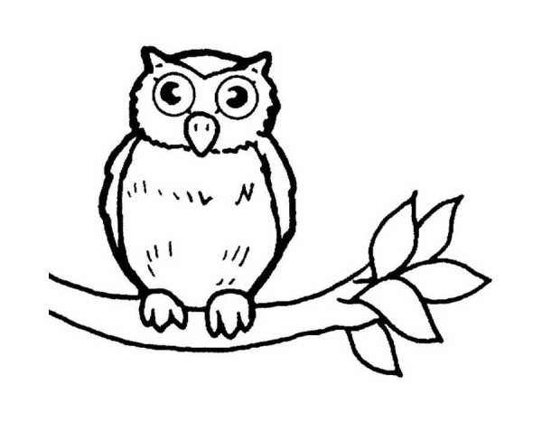 Сова раскраска