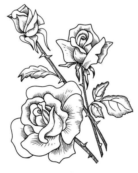 Цветы для выжигания