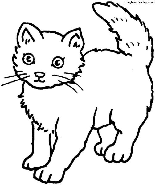 Рисунок кошки для раскрашивания
