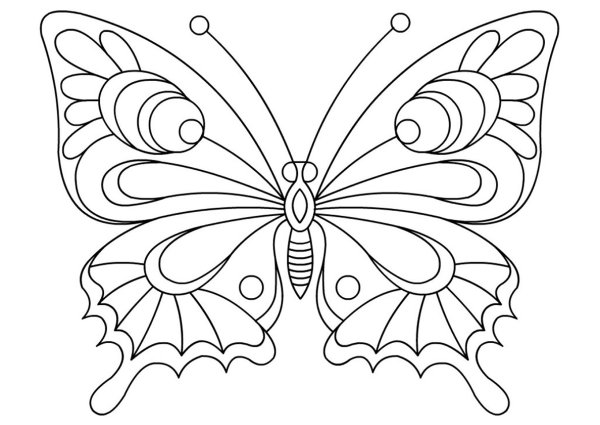 Раскраска "бабочки"