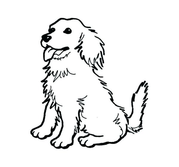 Собака раскраска для детей