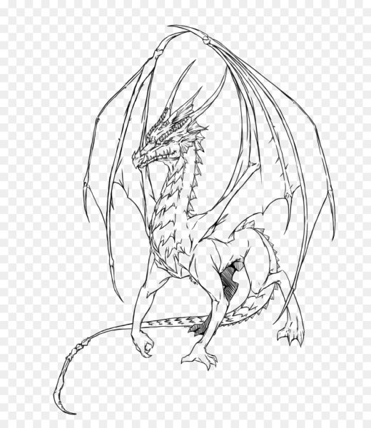 Контурное изображение дракона