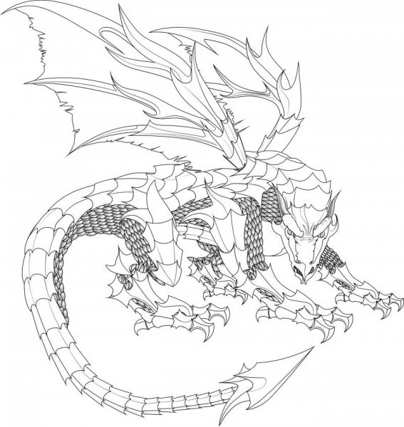 Эскиз дракон контурный
