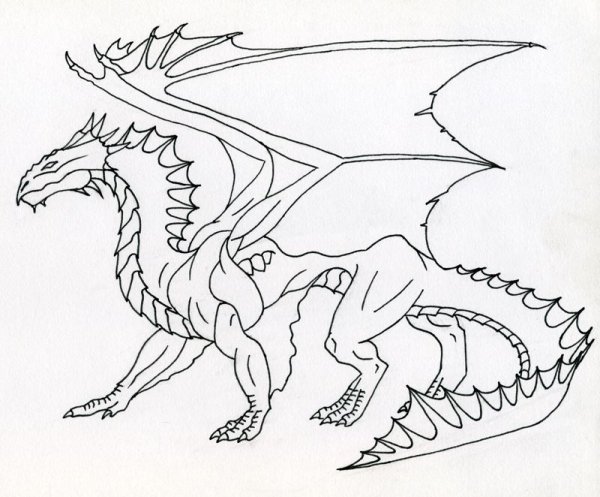 Контуры драконов