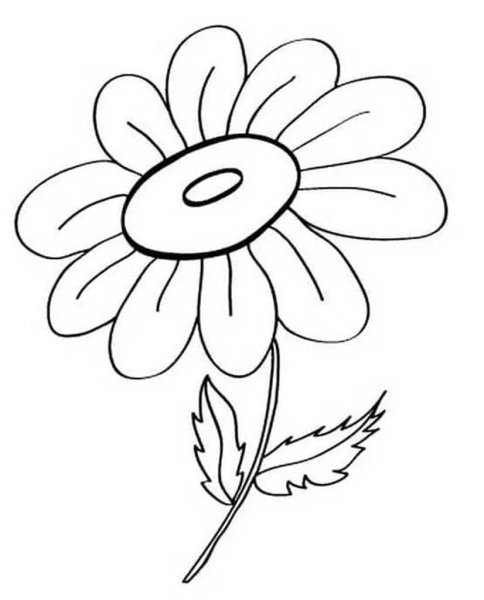 Трафарет ромашки