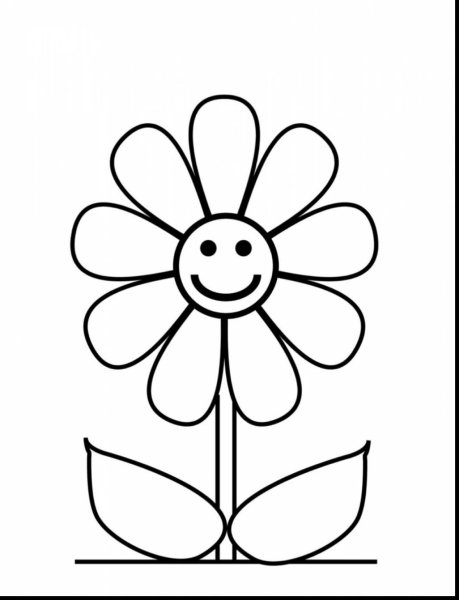 Ромашка рисунок раскраска