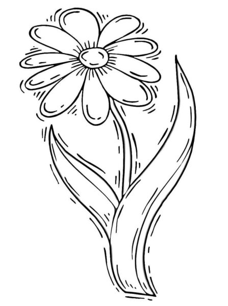 Трафарет ромашки для раскрашивания