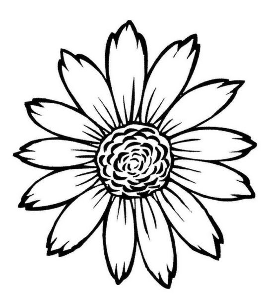 Контур цветка для раскрашивания