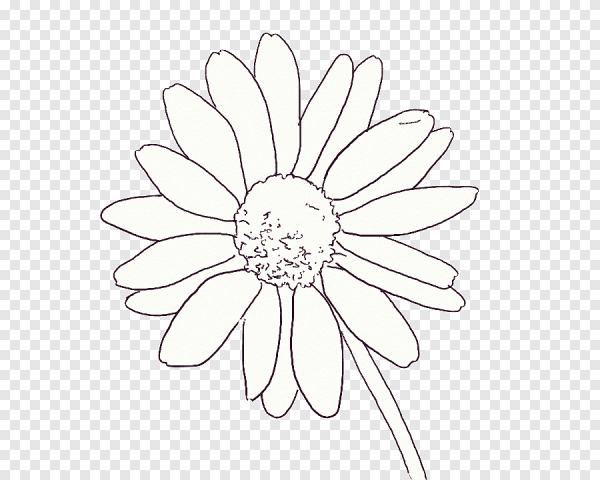 Ромашка трафарет для вырезания