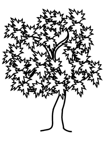 Дерево контур