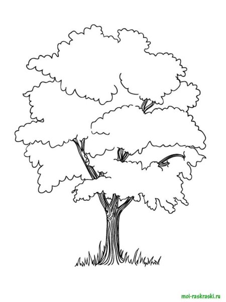 Дерево для вырезания