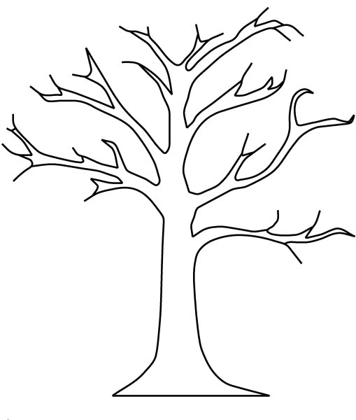 Дуб раскраска для детей