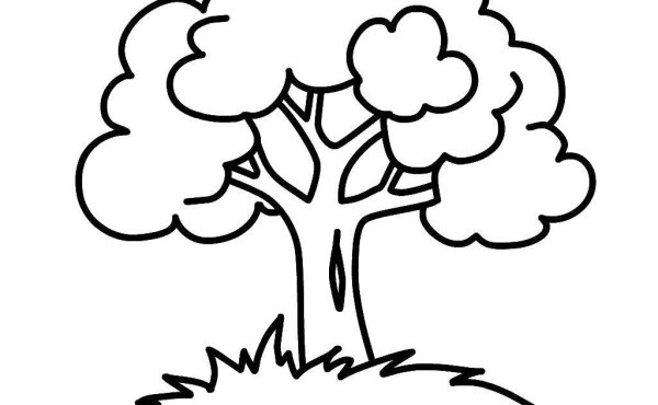 Дерево контур