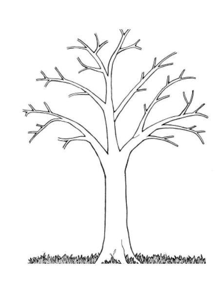 Дерево без листвы