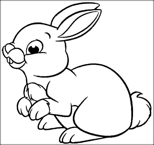 Зайчик раскраска для малышей