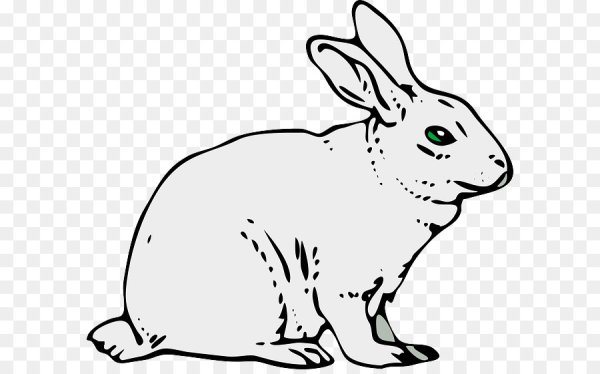 Заяц раскраска