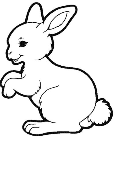 Зайчик контур