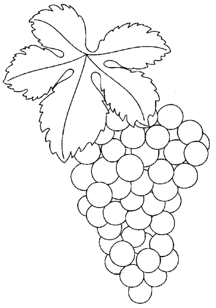 Трафарет виноград