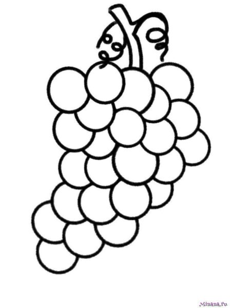 Виноград раскраска для детей