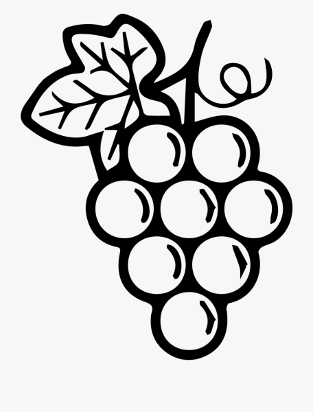 Разукрашка Виноградная лоза