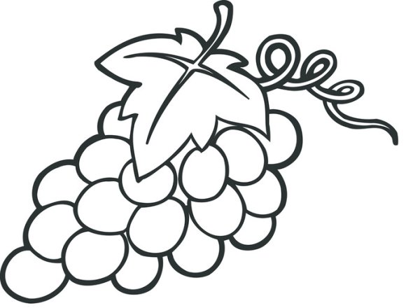 Виноград раскраска