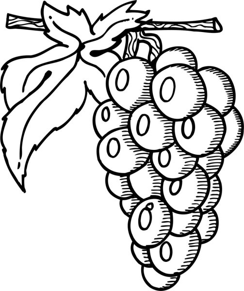 Яга раскраска