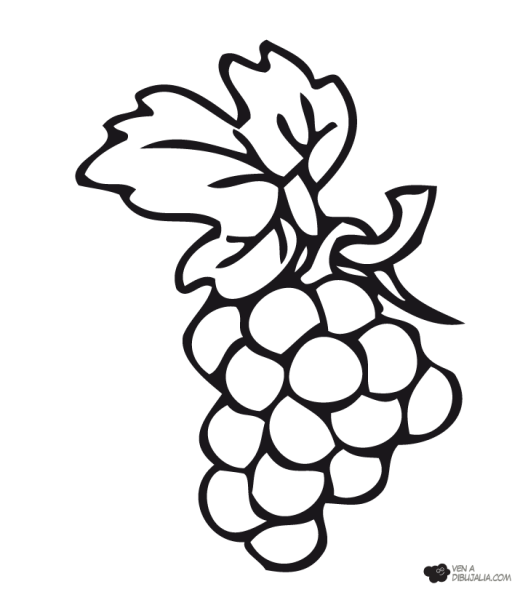 Гроздь винограда контур
