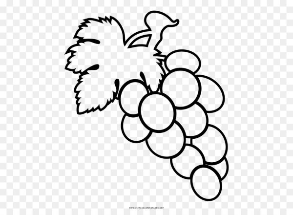 Виноград раскраска