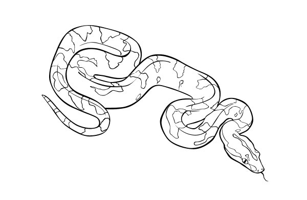 Раскраски змеи