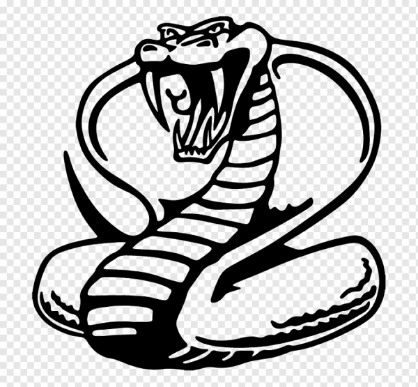 Черно белая Кобра