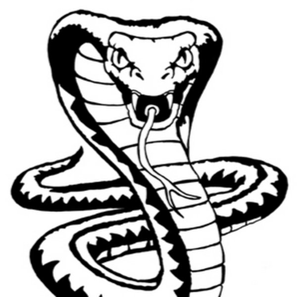 Змея для выжигания