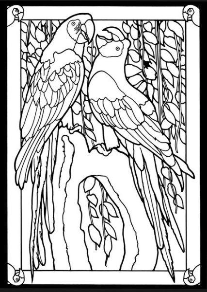 Трафареты для витража птицы