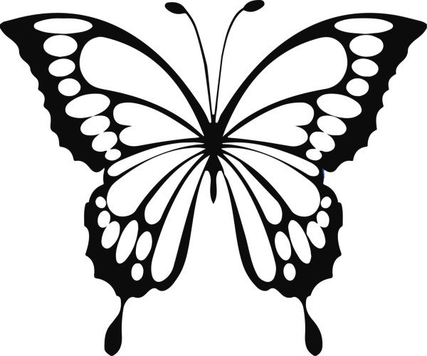 Контуры бабочек для декора