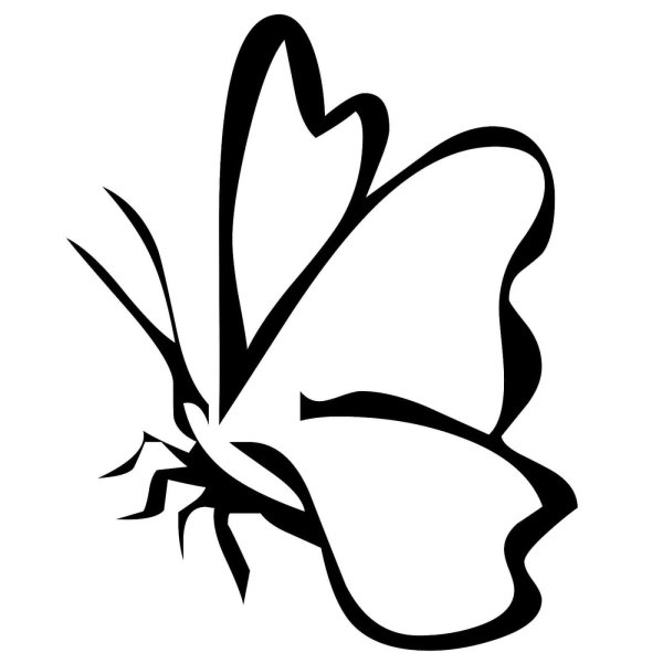 Трафареты бабочки