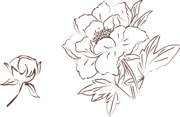 Трафарет "пионы"