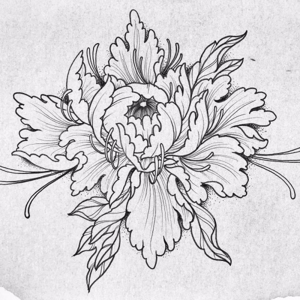 Стилизованные пионы