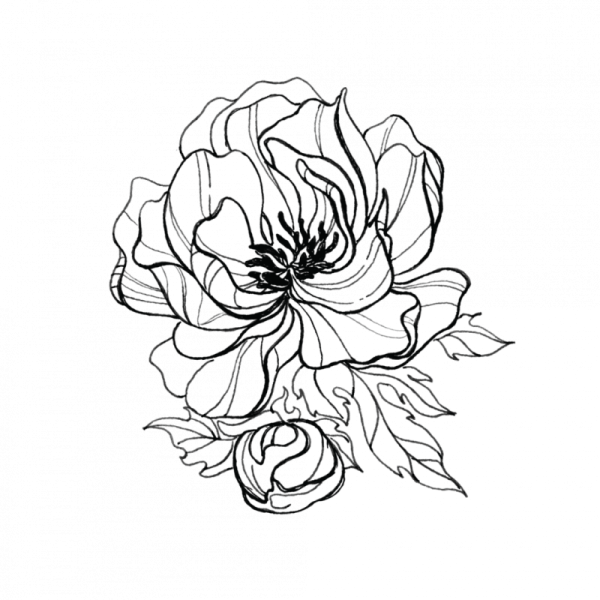 Цветы Графика