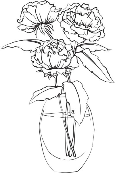 Раскраска цветы пионы