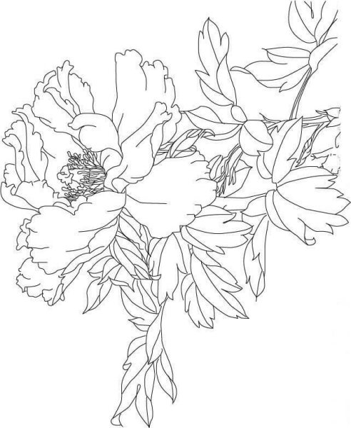 Трафарет "пионы"