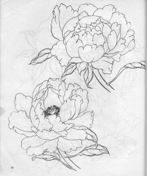 Трафарет "пионы"