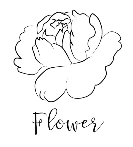 Пионы вектор контур