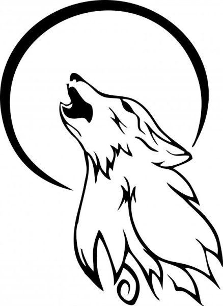 Тату волка карандашом