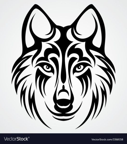 Голова волка