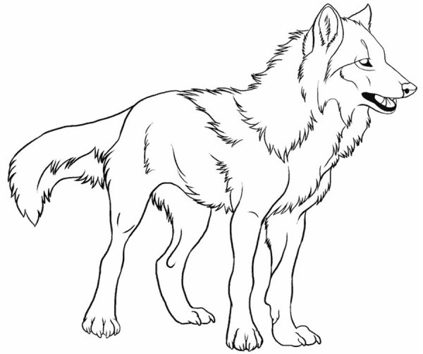 Раскраска волк