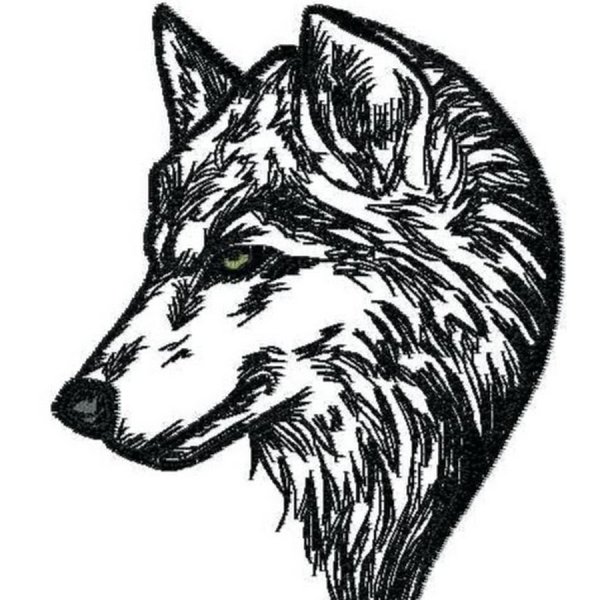 Голова волка